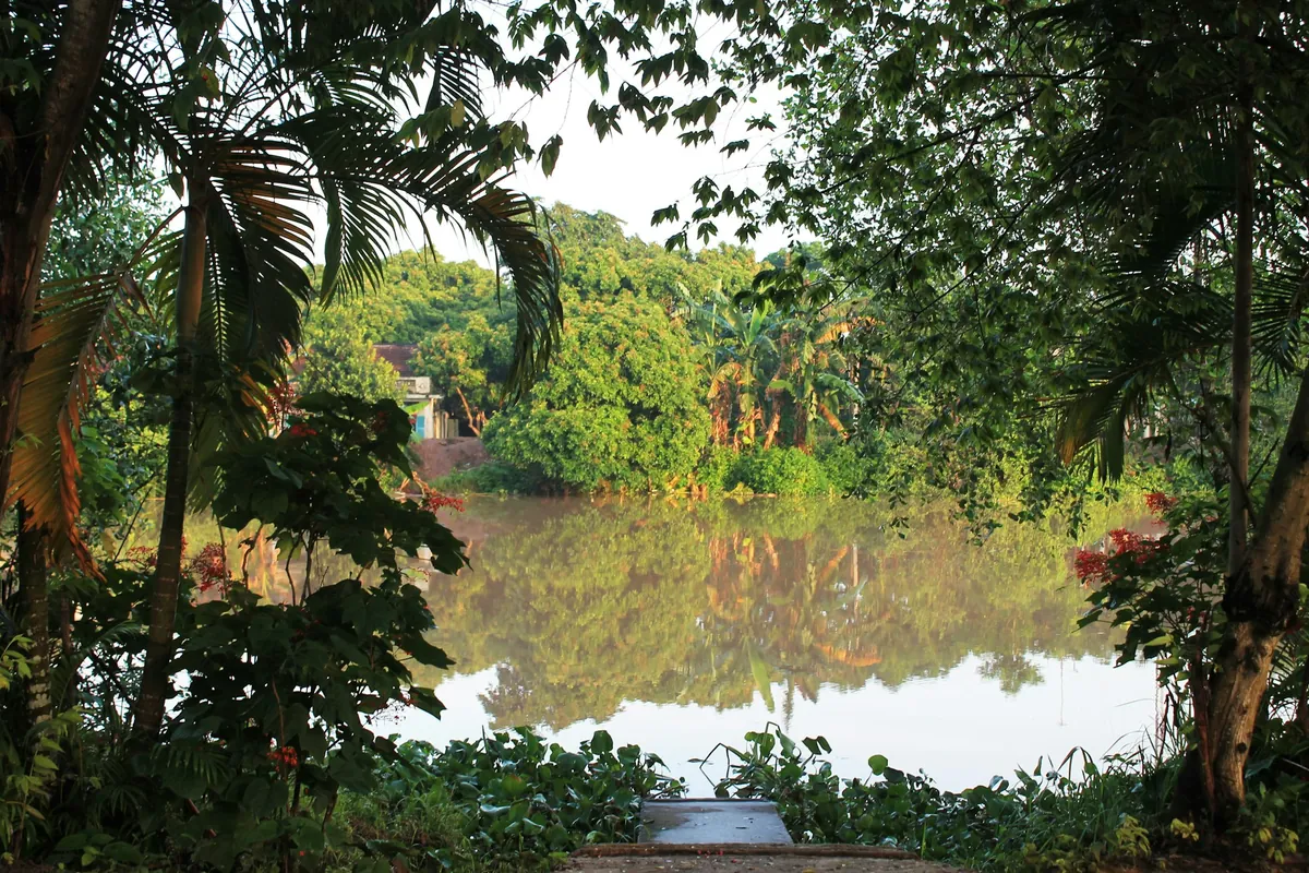 A quiet Mekong waterway framed by lush greenery